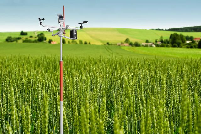 中科院博士告诉你，未来十年最挣钱的行业竟是农业（未来十年农业前景好的专业有哪些）