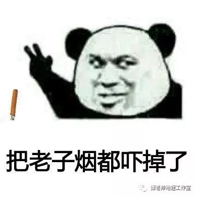靠"萌"征服世界的滚滚为什么表情包那么猥琐?