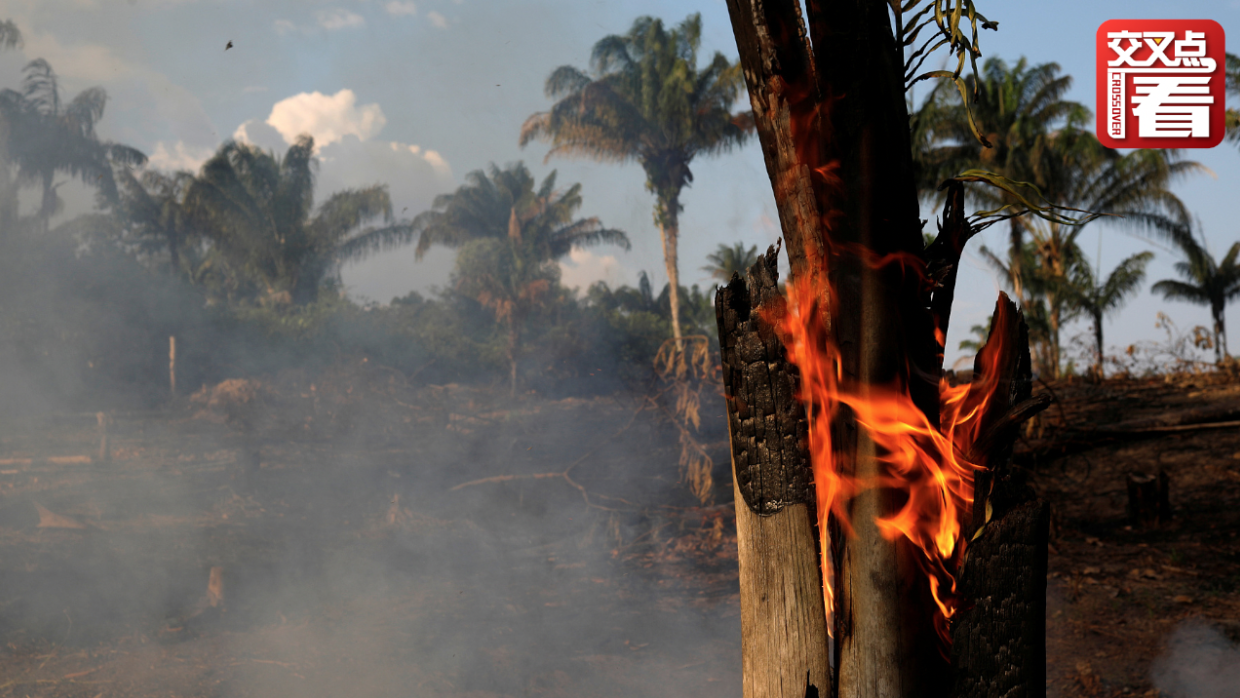 亚马逊雨林大火 巴西总统又使出新招：哭穷