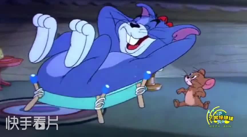 现实版的猫和老鼠，一段猫咪舔舐老鼠视频爆红网络