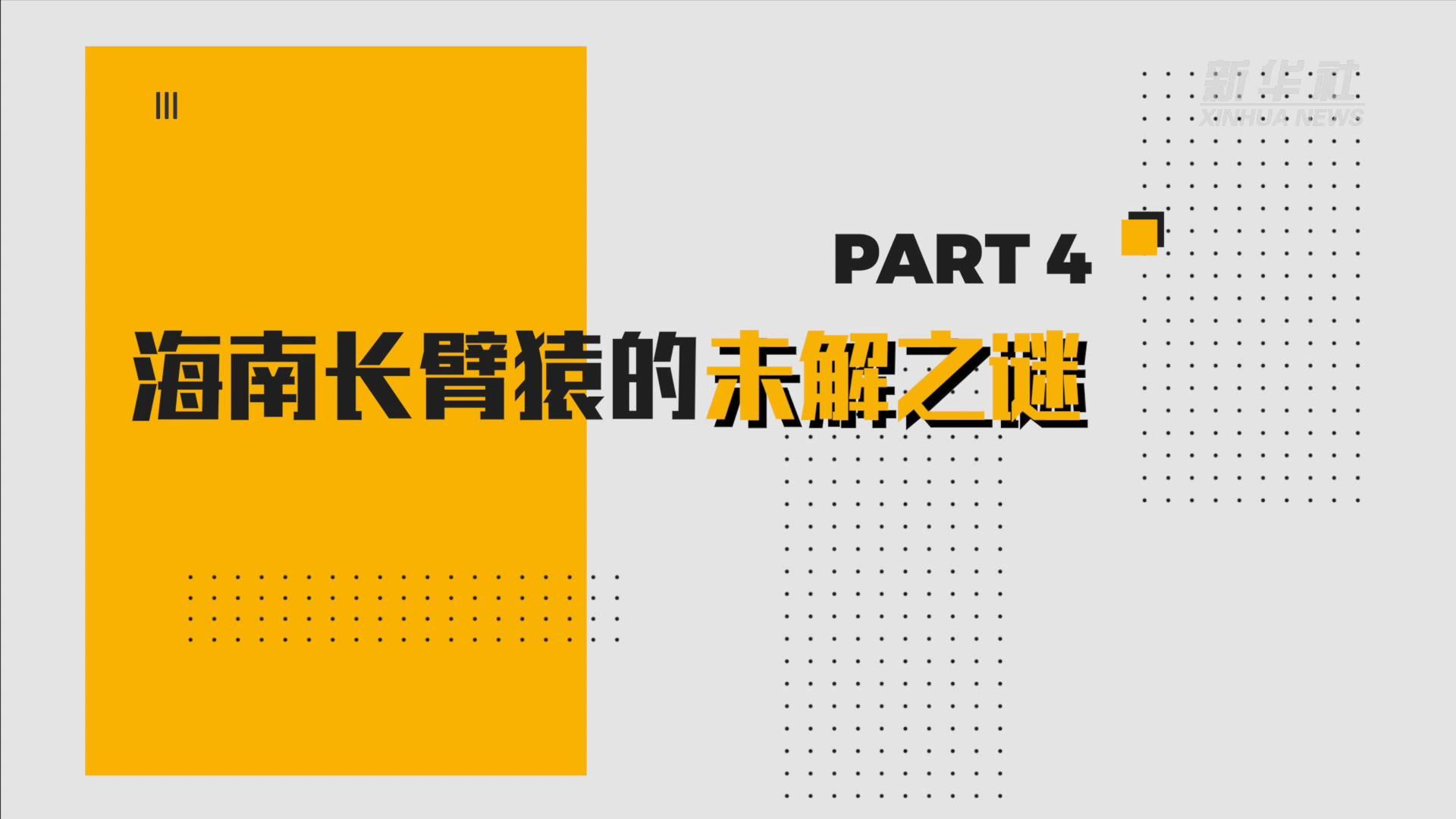 海南长臂猿系列科普丨海南长臂猿的未解之谜