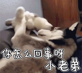 迪士尼才是真正的上海堡垒