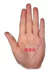 男左女右,教你手相看命,自己也能看!
