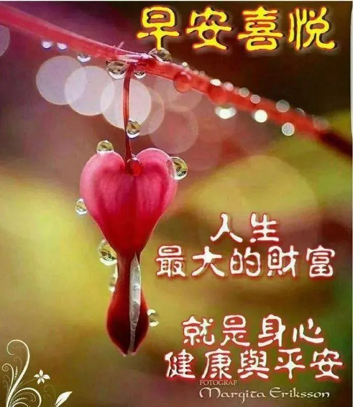 8月26日周一早上好问候语录，阳光暖心的早安问候句子（8月29日星期六）