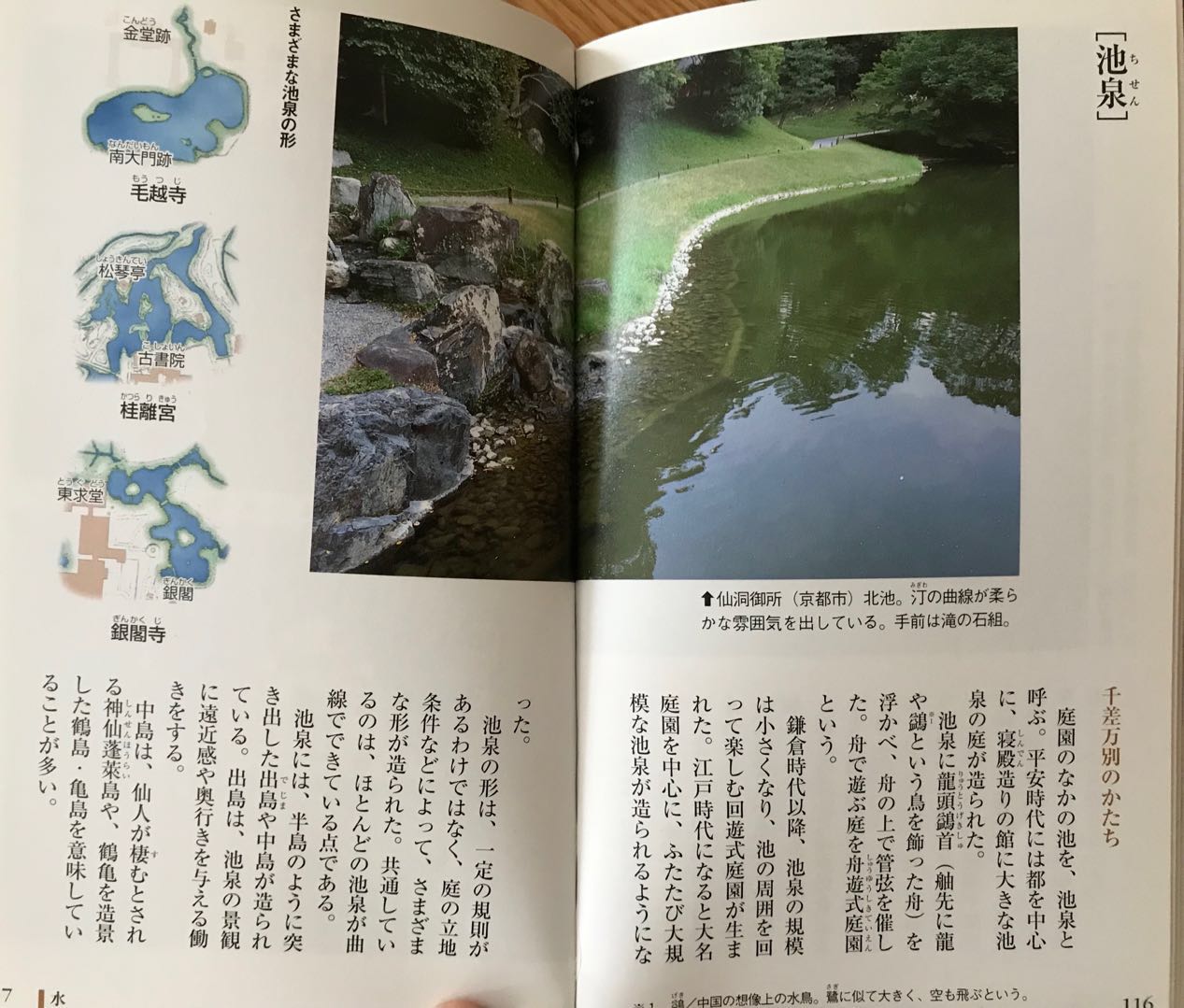 池泉