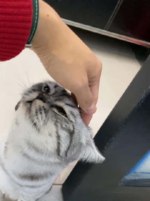 你干什么！ 
L李大锤同学的微博视频 ​​​​