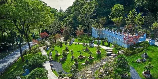 厉害了!昆山亭林公园与森林公园改造完成