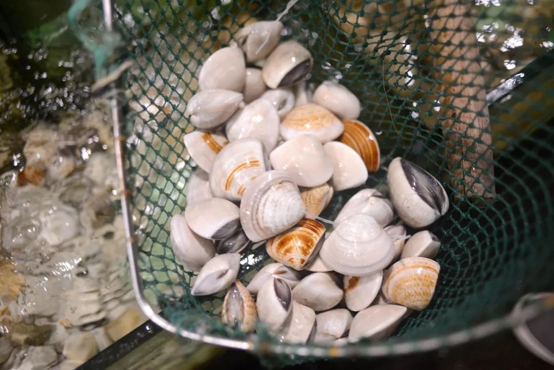 广西是被严重低估的美食之城