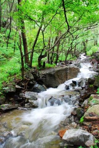 河南、山西、陕西交界,藏了个绝美山水景点:门票30元,自驾直达