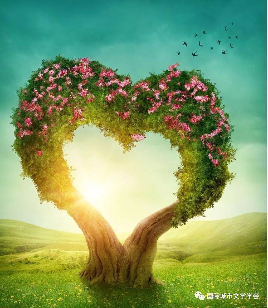 《重回战场寻找一棵树的爱情》作者:周业明||主播:心如空海