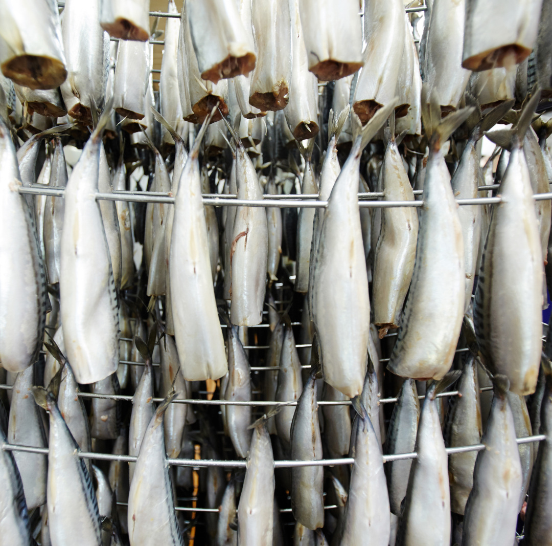 沿海人民是如何喂饱中国的？| 地球知识局