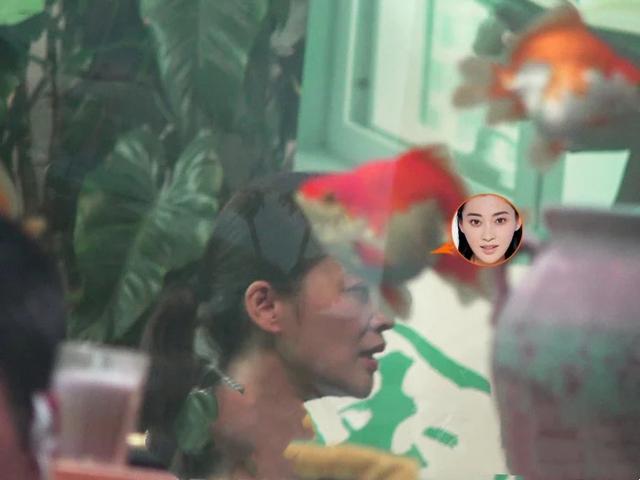 44岁梅婷现身拍戏：老态明显 撞脸60岁倪萍