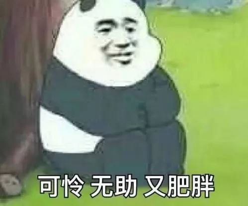 「新氧App」宋轶比乔欣还绝的芝麻腰，自曝不是天然的，就想知道这得多少钱？