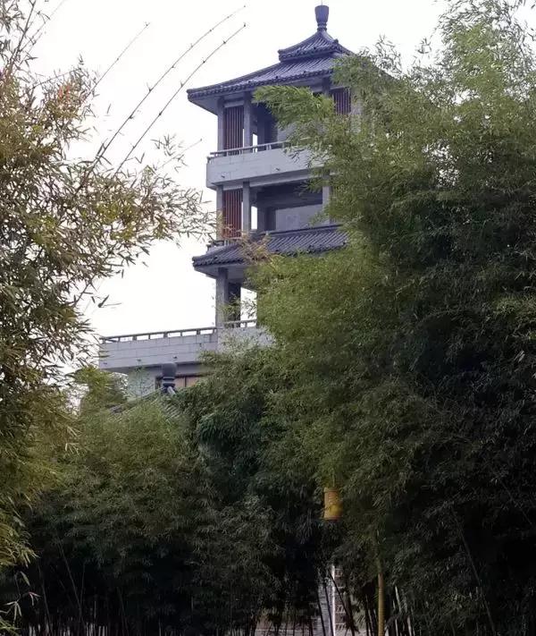 中秋将至 | 是时候把竹博园的行程定下来了