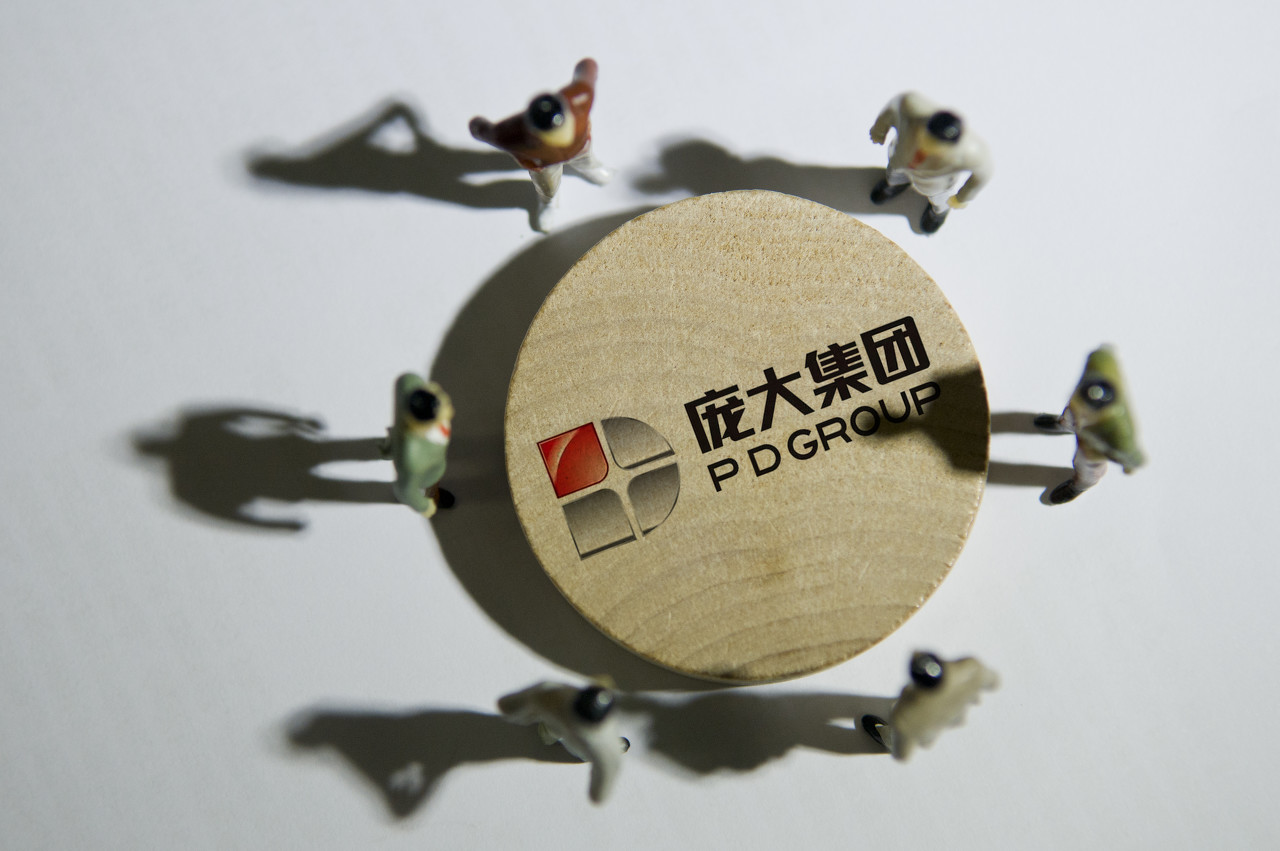 庞大集团"易主" 重整投资进入关键期