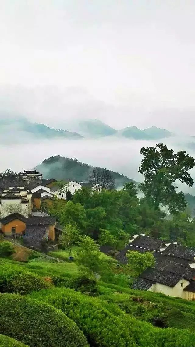 不要总说西递宏村，安徽这二十个小众景点，也总另人流连忘返