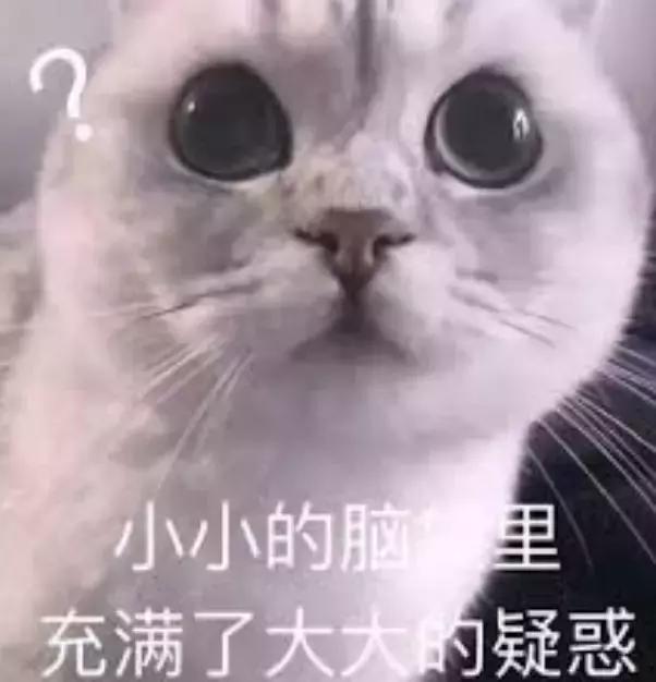 世纪未解之谜：自行车是怎么保持平衡的？
