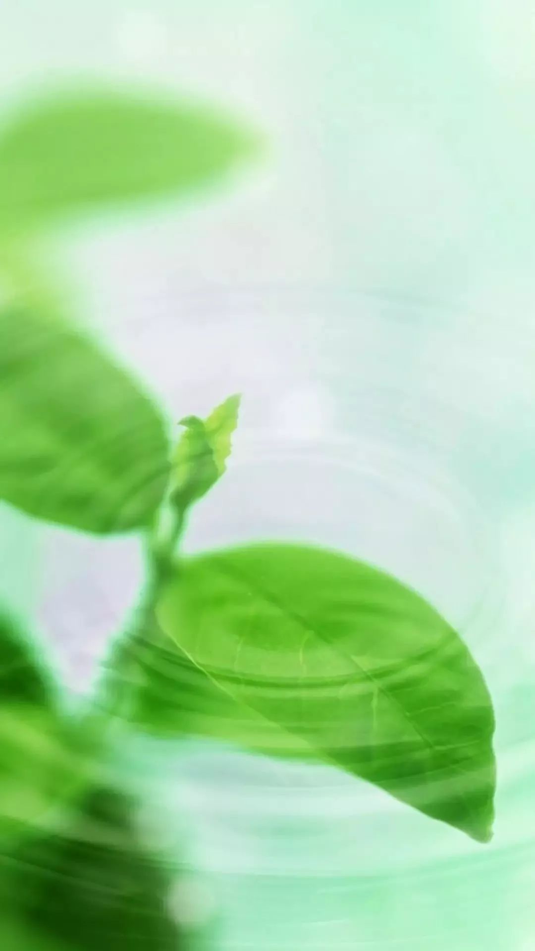 简单到极致,便是生活