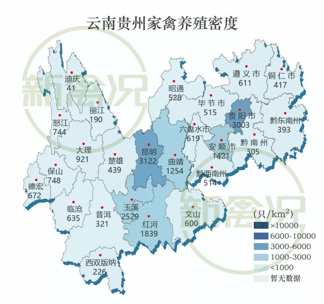 云贵川渝养鸡市场有多大?别猜了,我告诉你