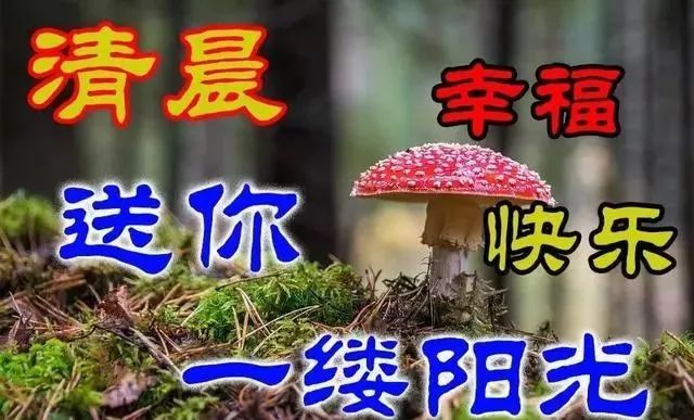 朋友圈最新版清晨早上好问候语美图，12月6日清早早上好问候暖心句子送给你（早上好的说说朋友圈简短）