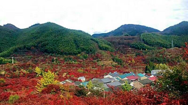 浙江6大秋季旅游景点排行榜，杭州西湖排名第三，楠溪江排名第二 第2张