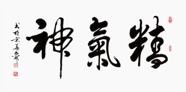 国家一级书法师石开行书《精气神》