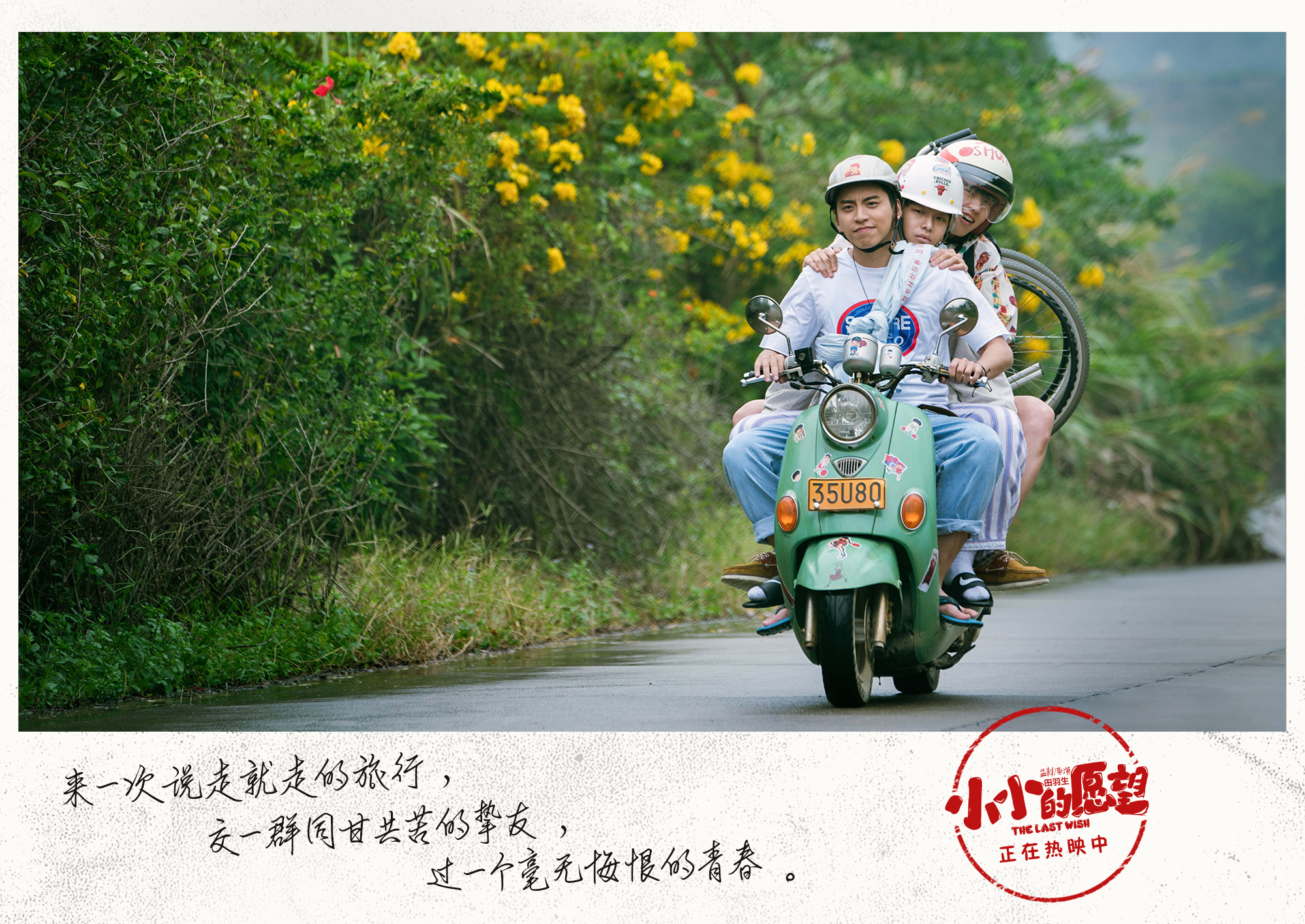 《小小的愿望》王大陆霸气示爱 俘获一众网友