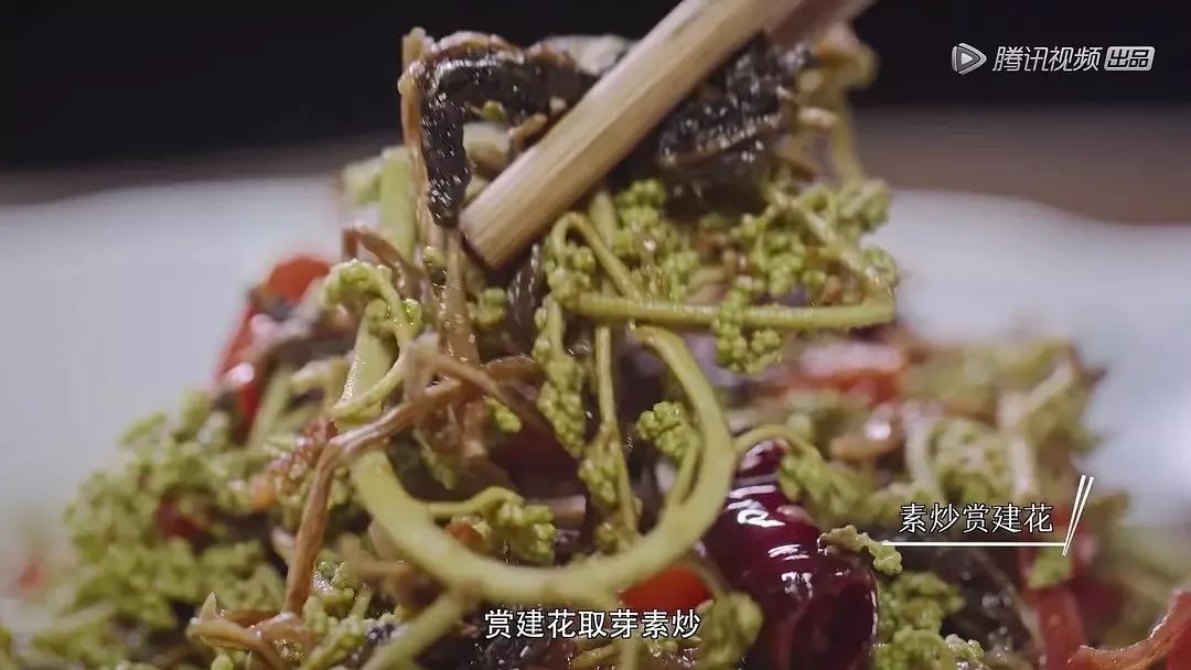 [新氧App]学她者生，似她者死，这个省的美人学都学不来