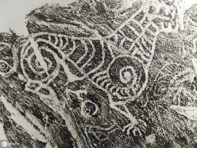 史前文明探秘:三叶虫上的鞋印