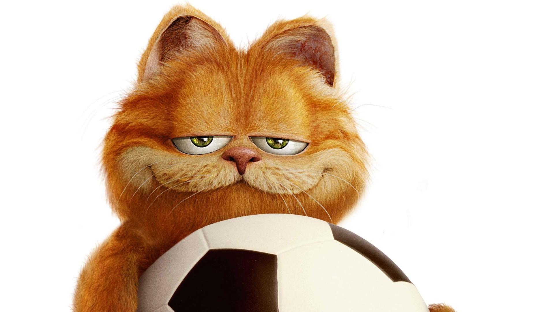2.加菲猫 garfield