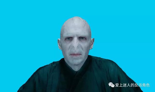 蛇王争霸赛:大蛇丸VS伏地魔