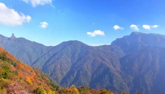 贵州旅游推荐。美到窒息！梵净山最美彩林已上线！