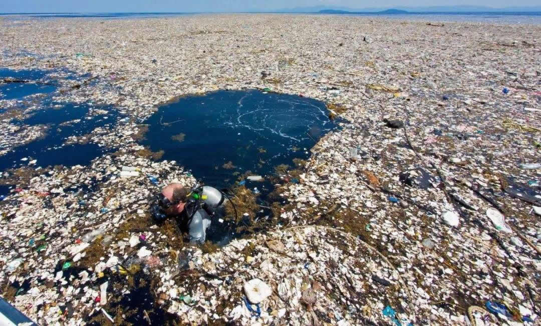 在世界上最深的马里亚纳海沟,人类也发现了漂浮的塑料袋.