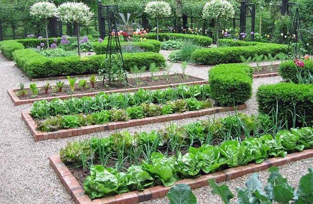 在大庭院里设计一处菜园是非常好看的,风格与建筑要统一,可以采用