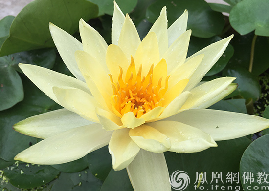 对人慈悲就是让别人有路走