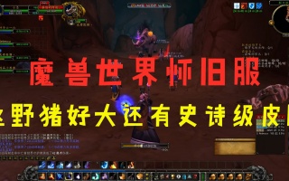 魔兽世界怀旧服：这个野猪好大还有史诗级皮肤