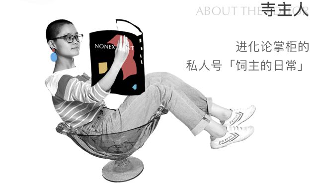 老花LV的正确打开方式