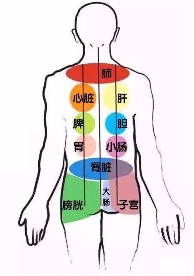 通经络,一定要坚持做背