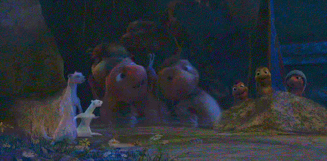 5.gif
