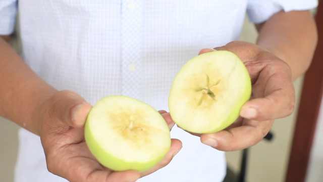 喝羊奶长大的苹果，吃起来奶香味