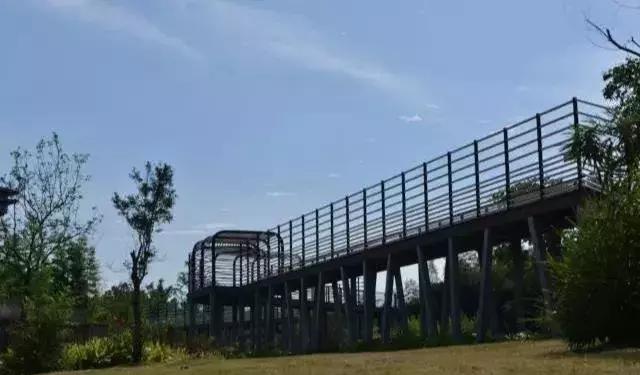 中秋将至 | 是时候把竹博园的行程定下来了