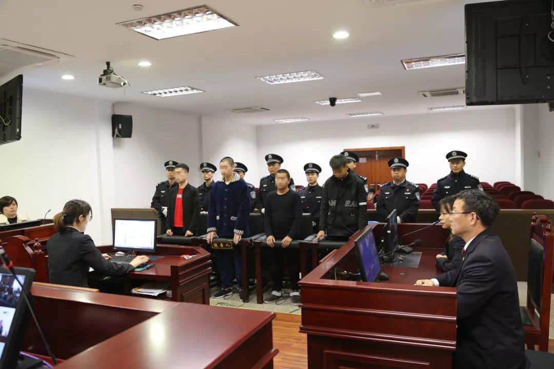 桐庐法院微信直播宣判，4名“00后”骗小学生钱财获刑