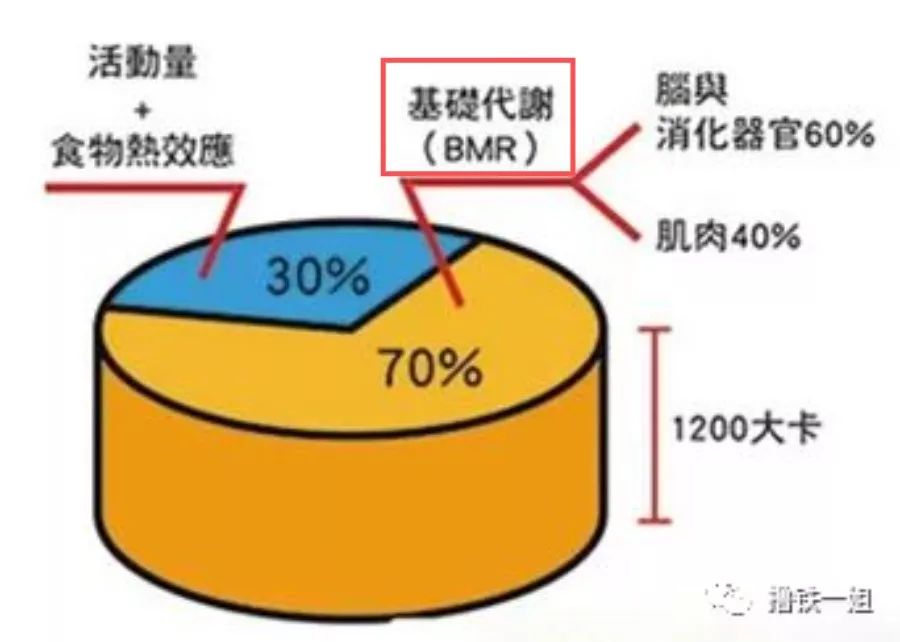 「新氧App」宋轶比乔欣还绝的芝麻腰，自曝不是天然的，就想知道这得多少钱？