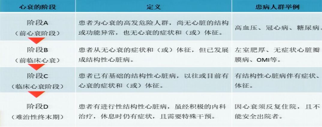 老年心衰的病因老年心衰以射血分数保留的心衰(hfpef)多见(40~80)