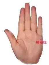 男左女右,教你手相看命,自己也能看!