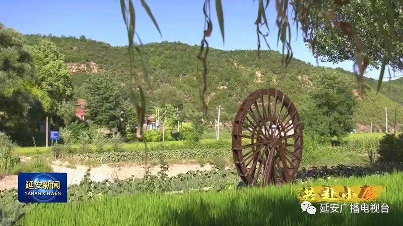 富县张家湾镇川庄村 村民 沈长刚