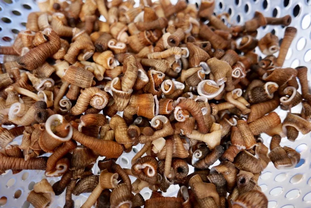 广西是被严重低估的美食之城