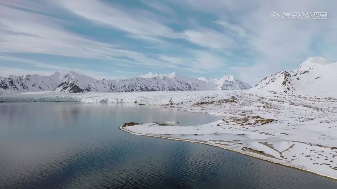 【电影通缉令】这档综艺，被刘雯和周迅救回来了！