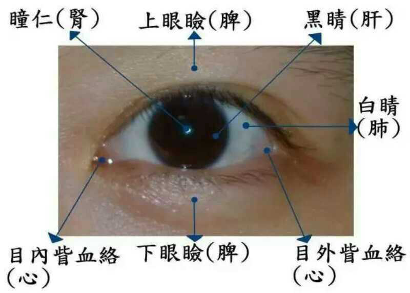 因为肝火会沿着肝经上行,当到达患者的眼睛之后,就会有眼睛发炎的表现