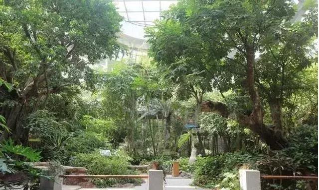 中秋将至 | 是时候把竹博园的行程定下来了